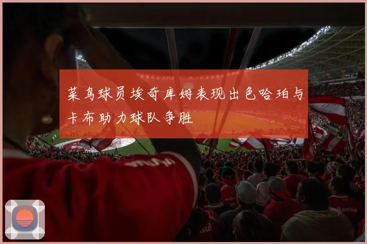 菜鸟球员埃奇库姆表现出色哈珀与卡布助力球队争胜